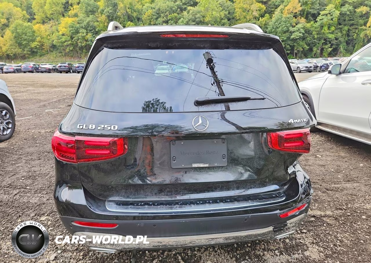 2024 Mercedes-Benz Glb 250 4Matic VIN:W1N4M4HB8RW346271 - 6
