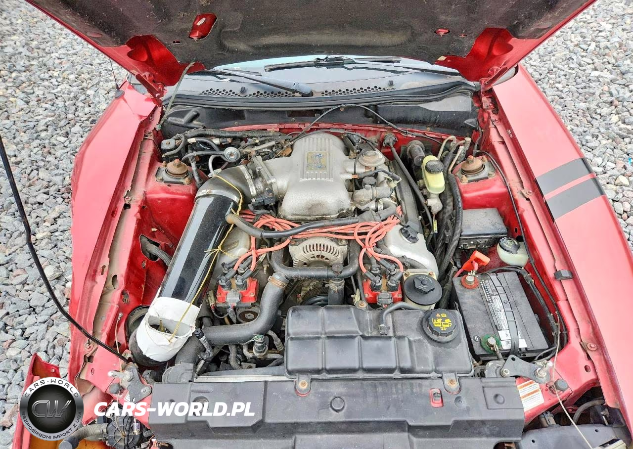 1998 Ford Mustang Cobra VIN:1FAFP47V5WF191330 - 11