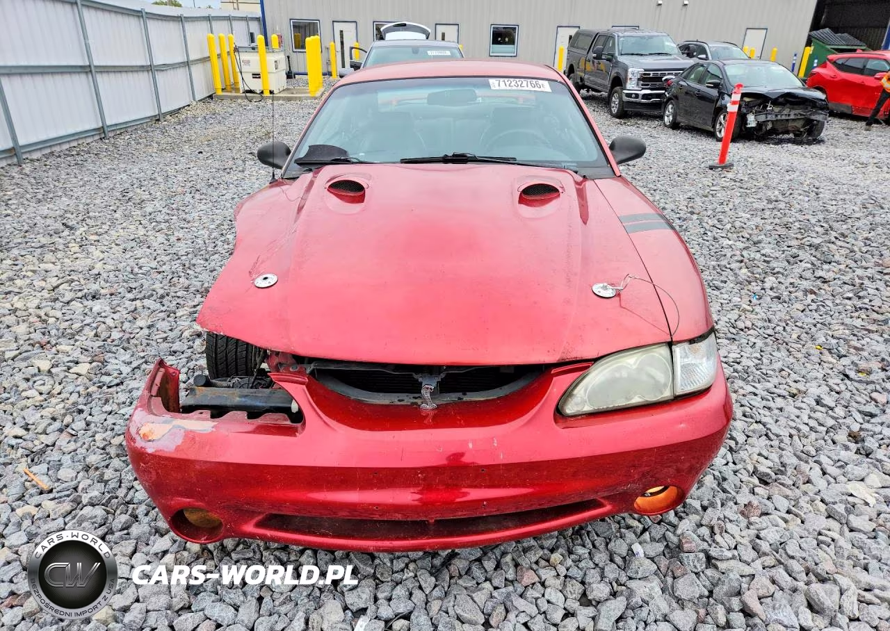 1998 Ford Mustang Cobra VIN:1FAFP47V5WF191330 - 5