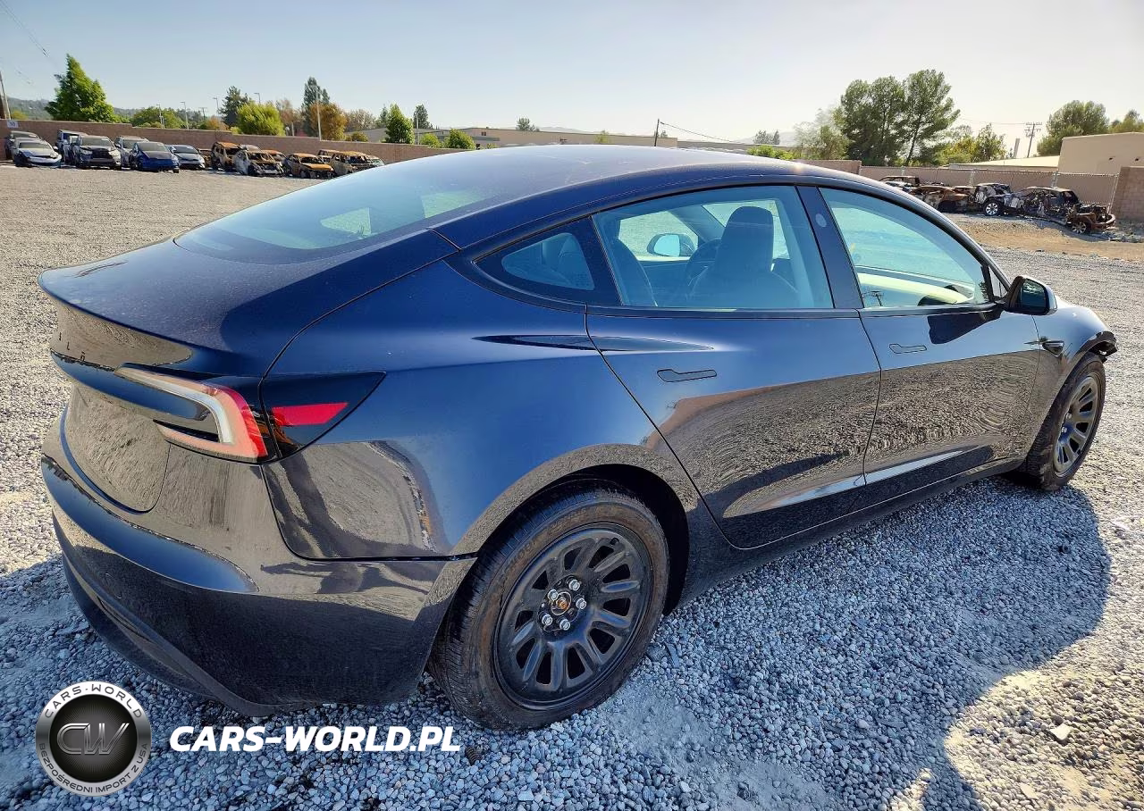 2025 Tesla Model 3 VIN:5YJ3E1EA5SF136683 - 3