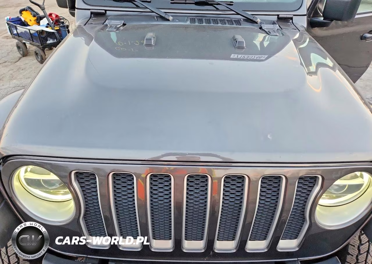 2019 Jeep Wrangler Unlimited Sahara VIN:1C4HJXEG1KW661583 - 12