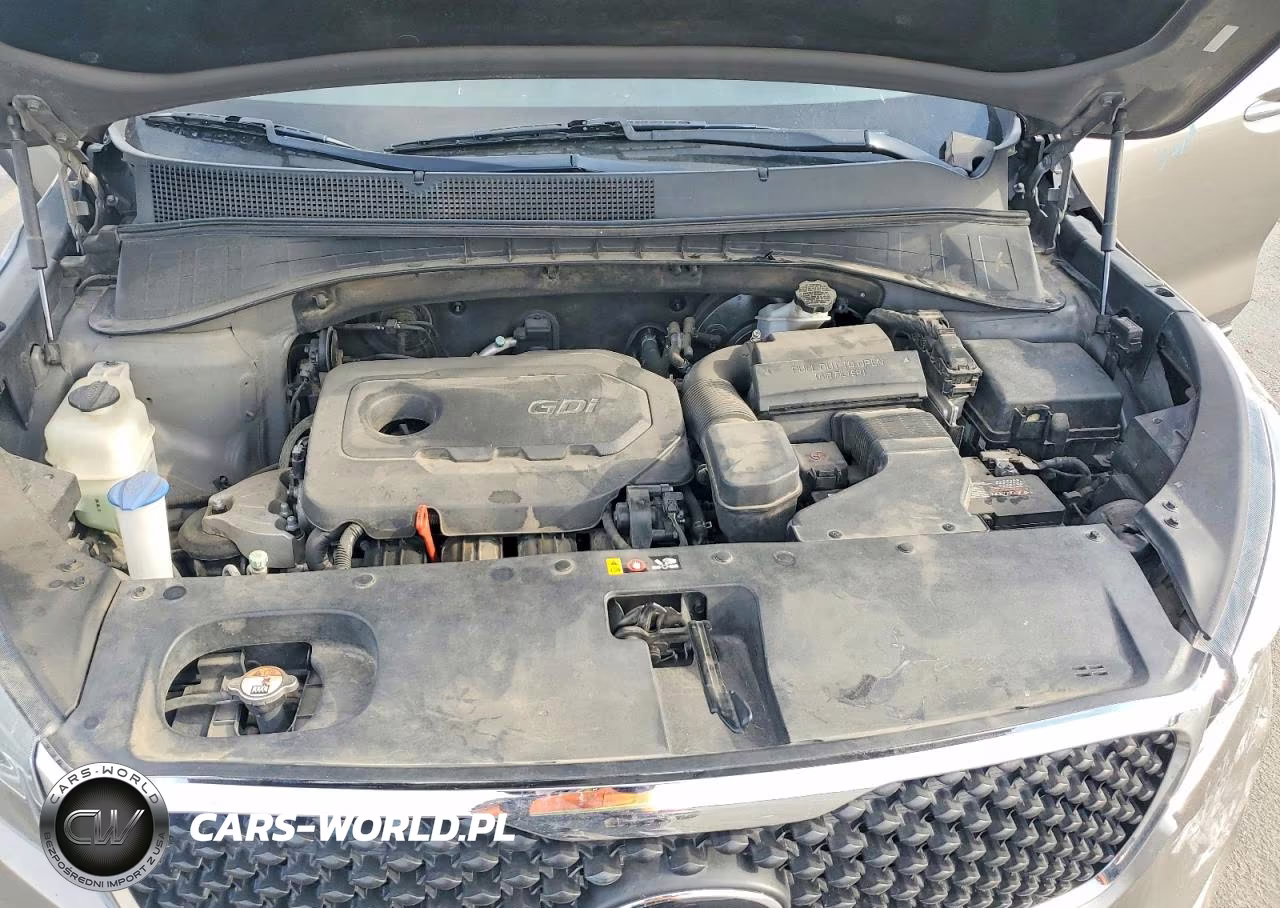 2017 Kia Sorento Lx VIN:5XYPG4A37HG275218 - 12