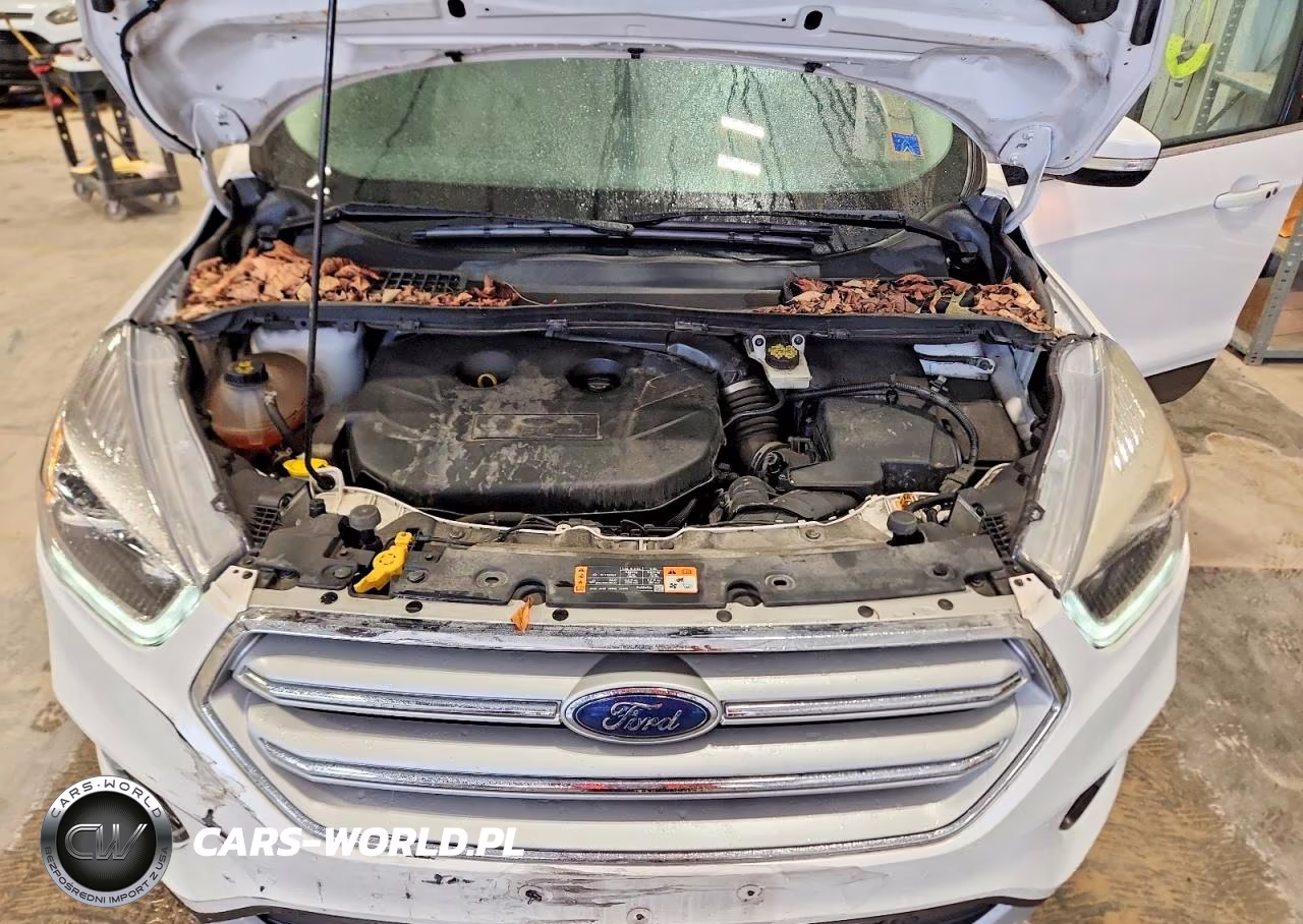 2019 Ford Escape Titanium VIN:1FMCU9J90KUA02888 - 12