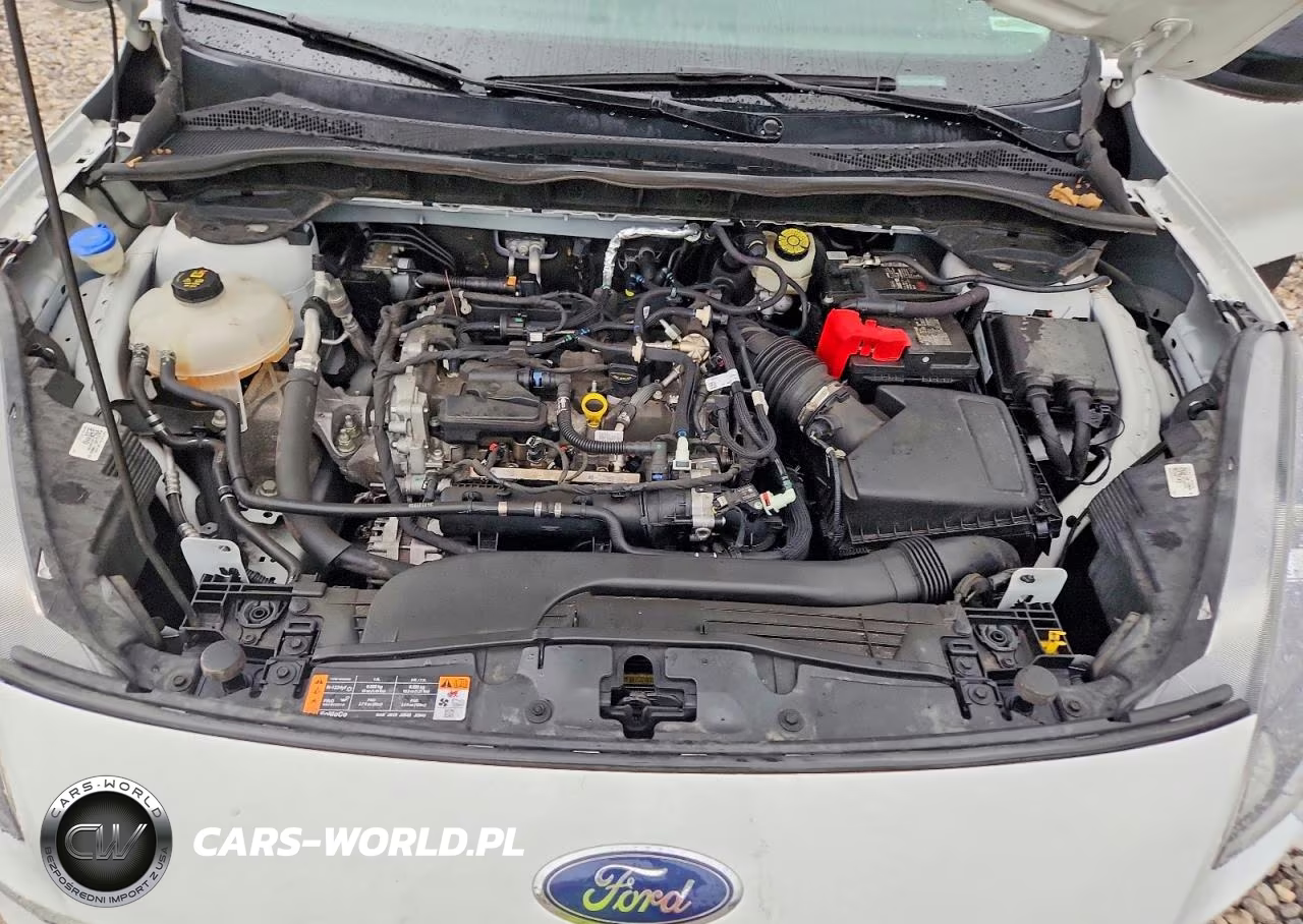 2022 Ford Escape Se VIN:1FMCU9G65NUA71237 - 11