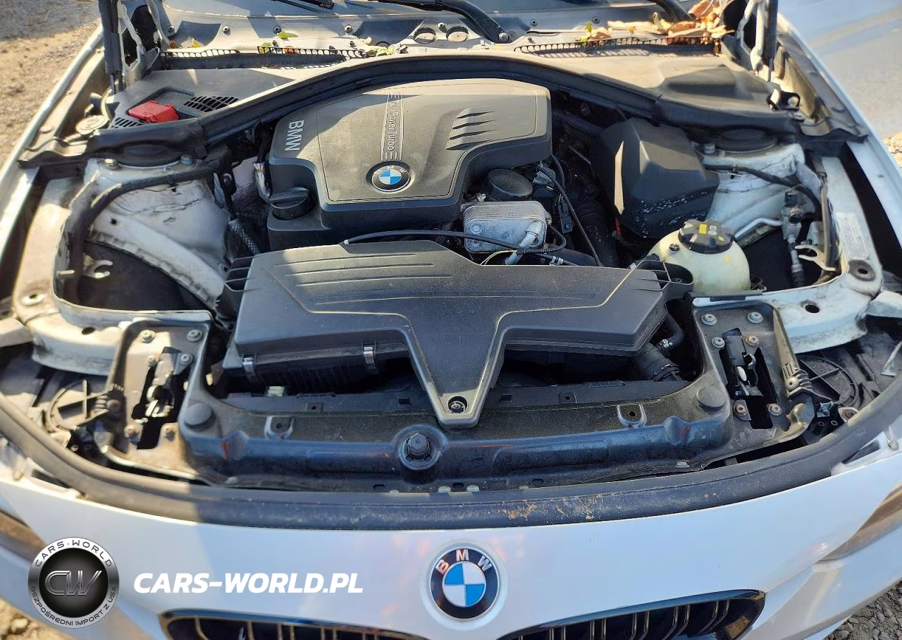 2015 BMW 328 Xi Sulev VIN:WBA3B5G50FNS15036 - 11