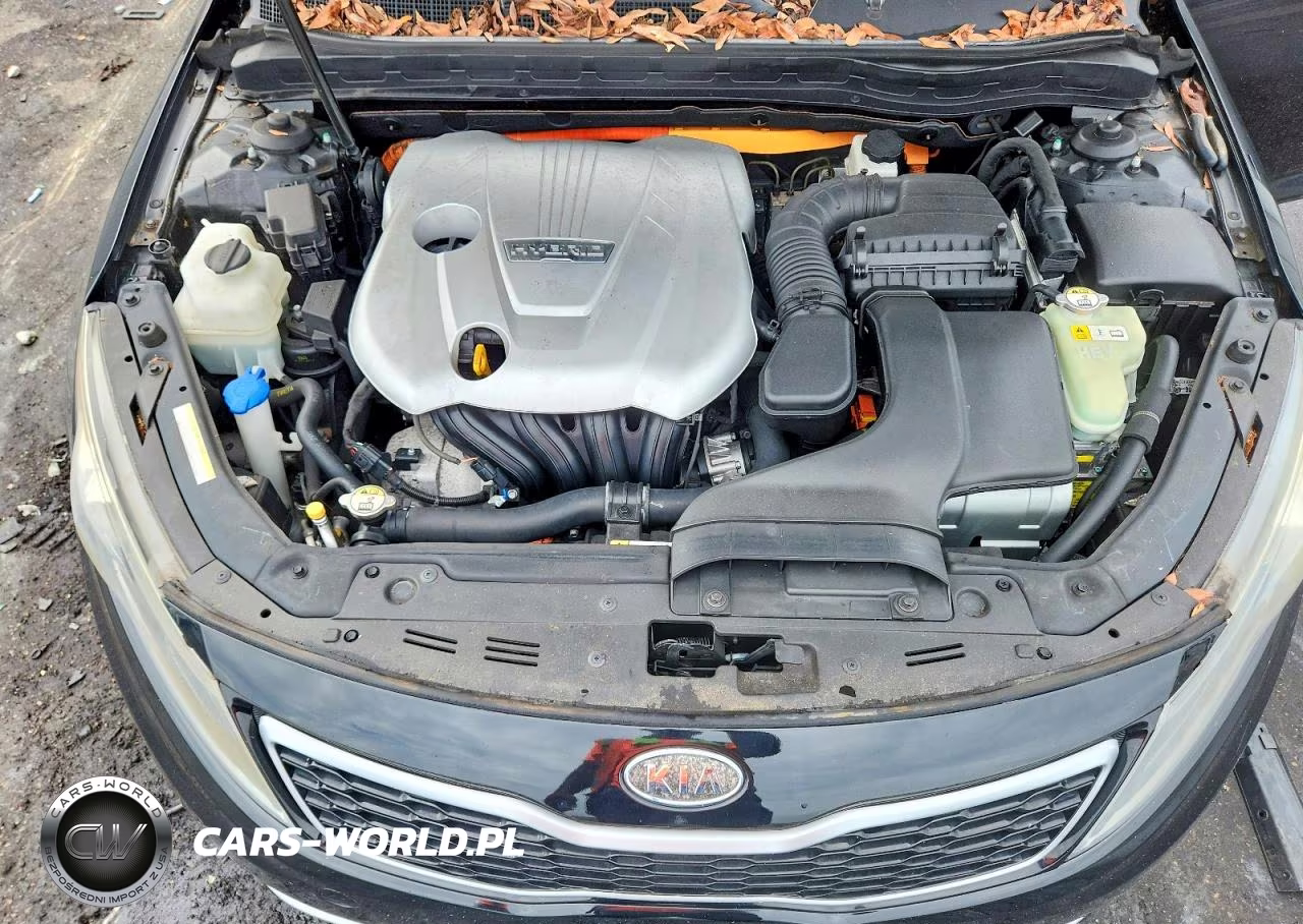 2012 Kia Optima Hybrid VIN:KNAGM4AD2C5012103 - 11