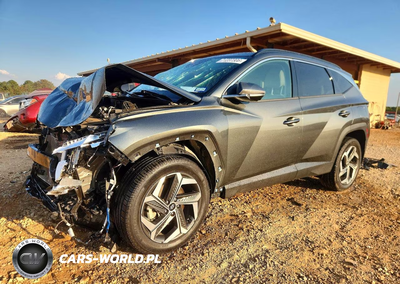 2022 Hyundai Tucson Limited VIN:5NMJECAE6NH044013 - 1