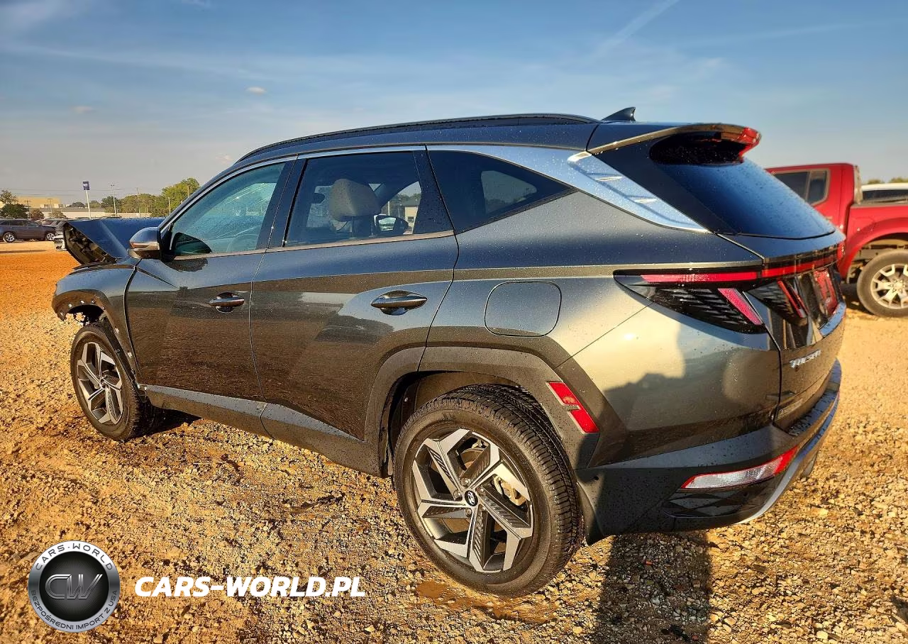 2022 Hyundai Tucson Limited VIN:5NMJECAE6NH044013 - 2