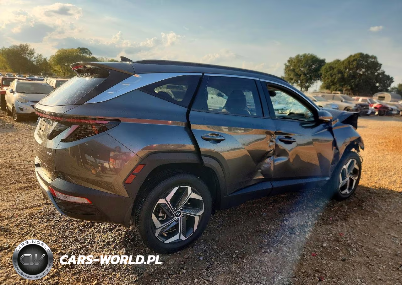 2022 Hyundai Tucson Limited VIN:5NMJECAE6NH044013 - 3