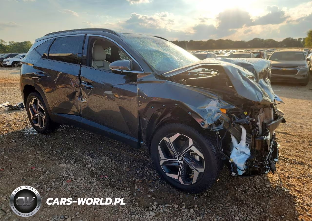 2022 Hyundai Tucson Limited VIN:5NMJECAE6NH044013 - 4