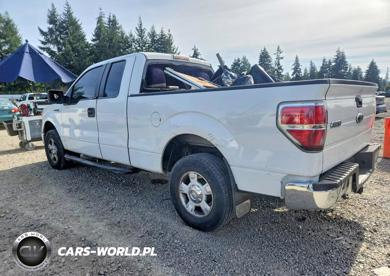 2010 Ford F150 Super Cab VIN:1FTEX1E89AFC38191 - 2
