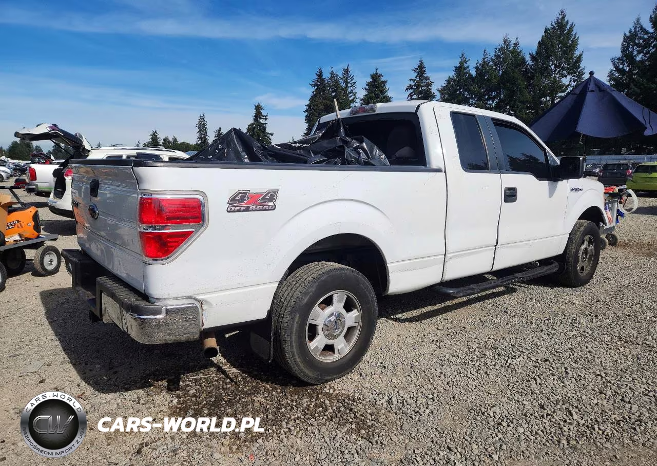 2010 Ford F150 Super Cab VIN:1FTEX1E89AFC38191 - 3