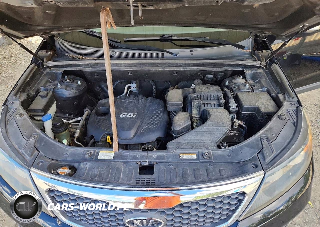 2013 Kia Sorento Lx VIN:5XYKT3A66DG341858 - 12