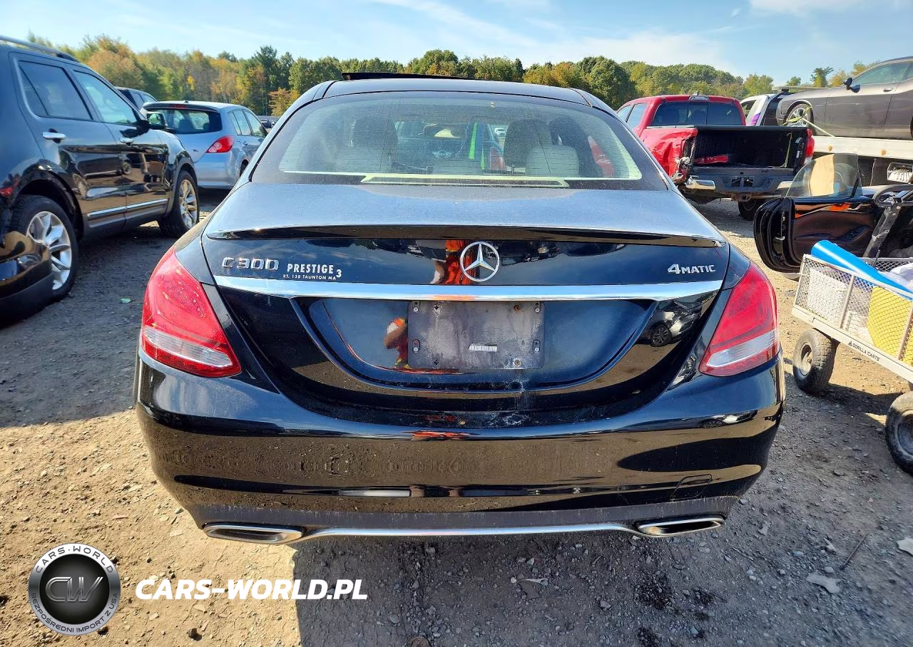 2016 Mercedes-Benz C 300 4Matic VIN:55SWF4KB8GU098669 - 6