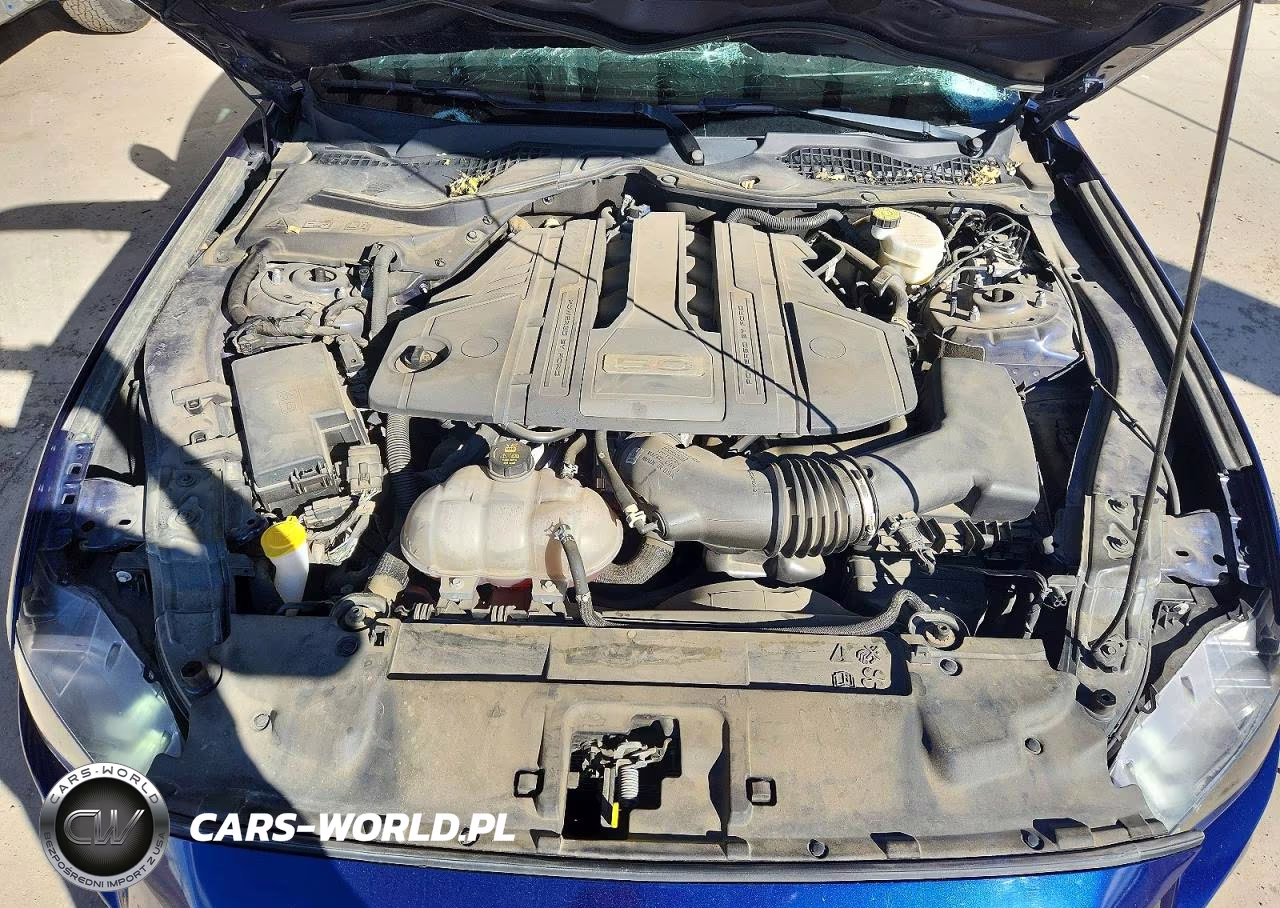 2019 Ford Mustang Gt VIN:1FA6P8CF7K5135637 - 11