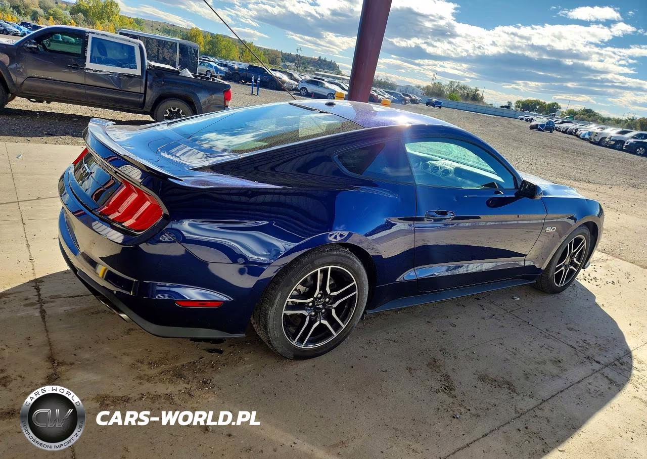 2019 Ford Mustang Gt VIN:1FA6P8CF7K5135637 - 3