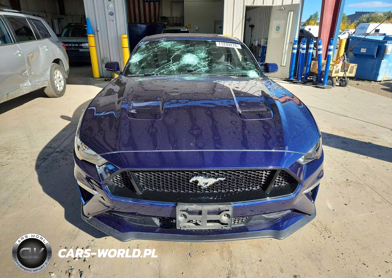 2019 Ford Mustang Gt VIN:1FA6P8CF7K5135637 - 5