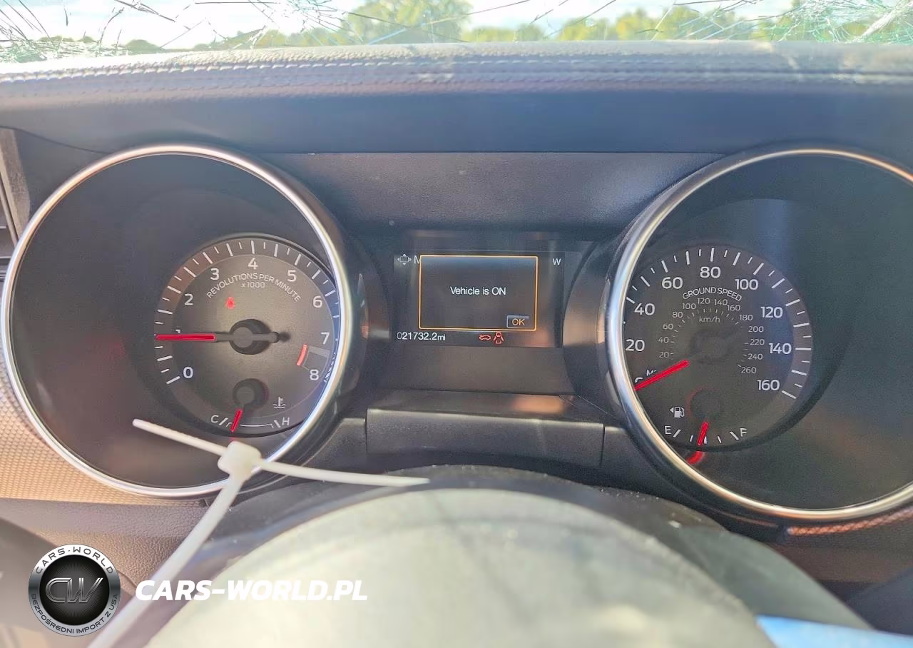 2019 Ford Mustang Gt VIN:1FA6P8CF7K5135637 - 9