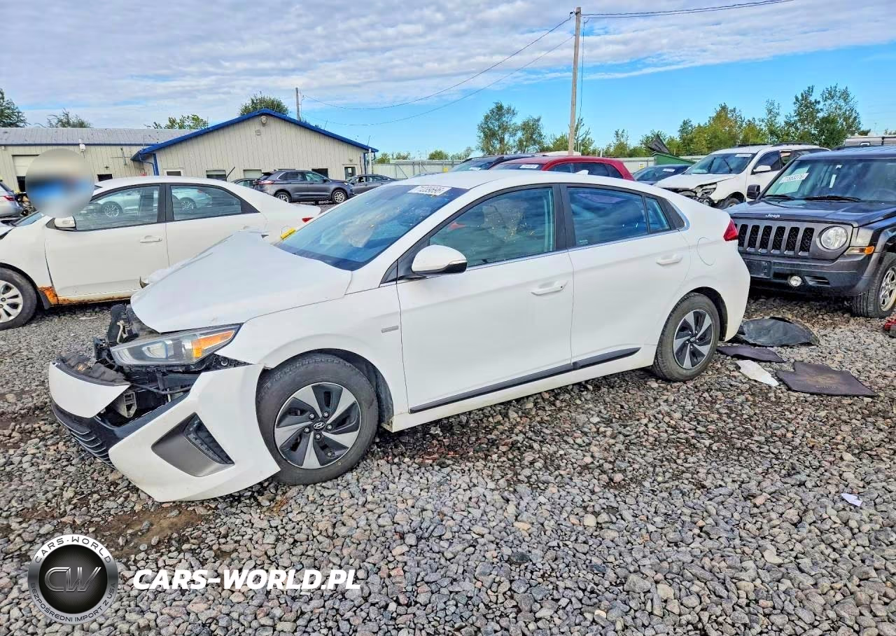 2019 Hyundai Ioniq Sel VIN:KMHC75LC4KU117034 - 1