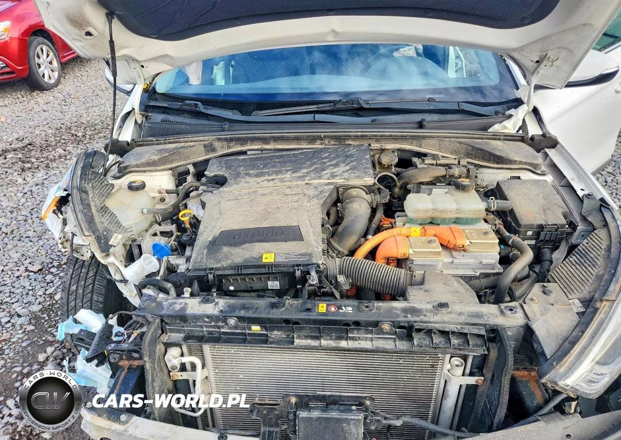 2019 Hyundai Ioniq Sel VIN:KMHC75LC4KU117034 - 11
