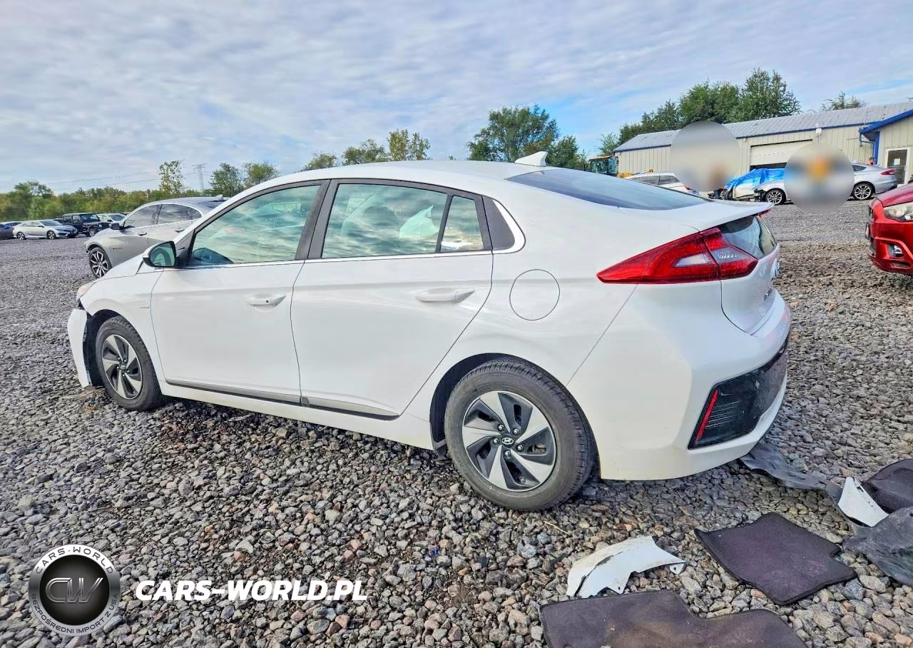 2019 Hyundai Ioniq Sel VIN:KMHC75LC4KU117034 - 2