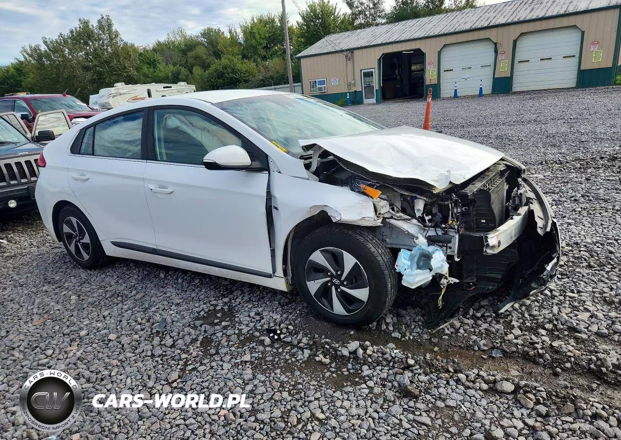 2019 Hyundai Ioniq Sel VIN:KMHC75LC4KU117034 - 4