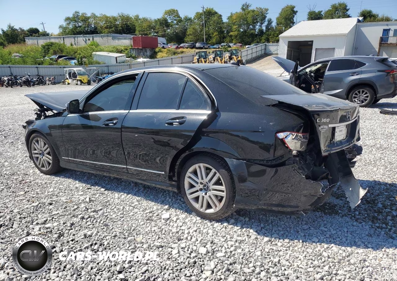 2009 Mercedes-Benz C 300 4Matic VIN:WDDGF81X99R081845 - 2