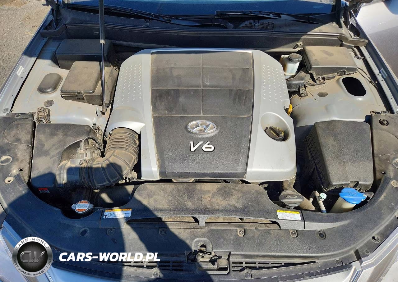 2010 Hyundai Genesis 3.8L VIN:KMHGC4DE7AU081457 - 11