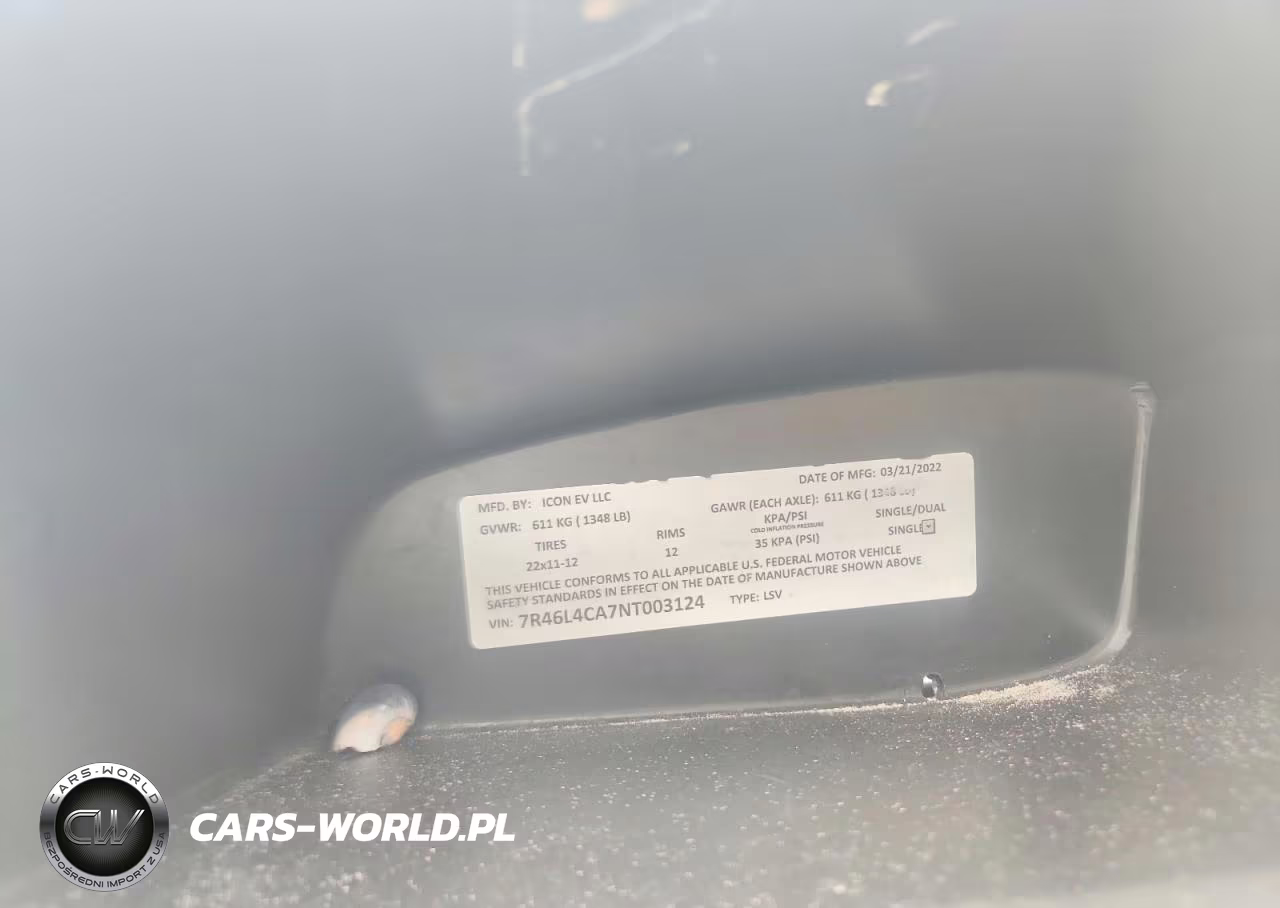 2022 Icon Golf Cart VIN:7R46L4CA7NT003124 - 10