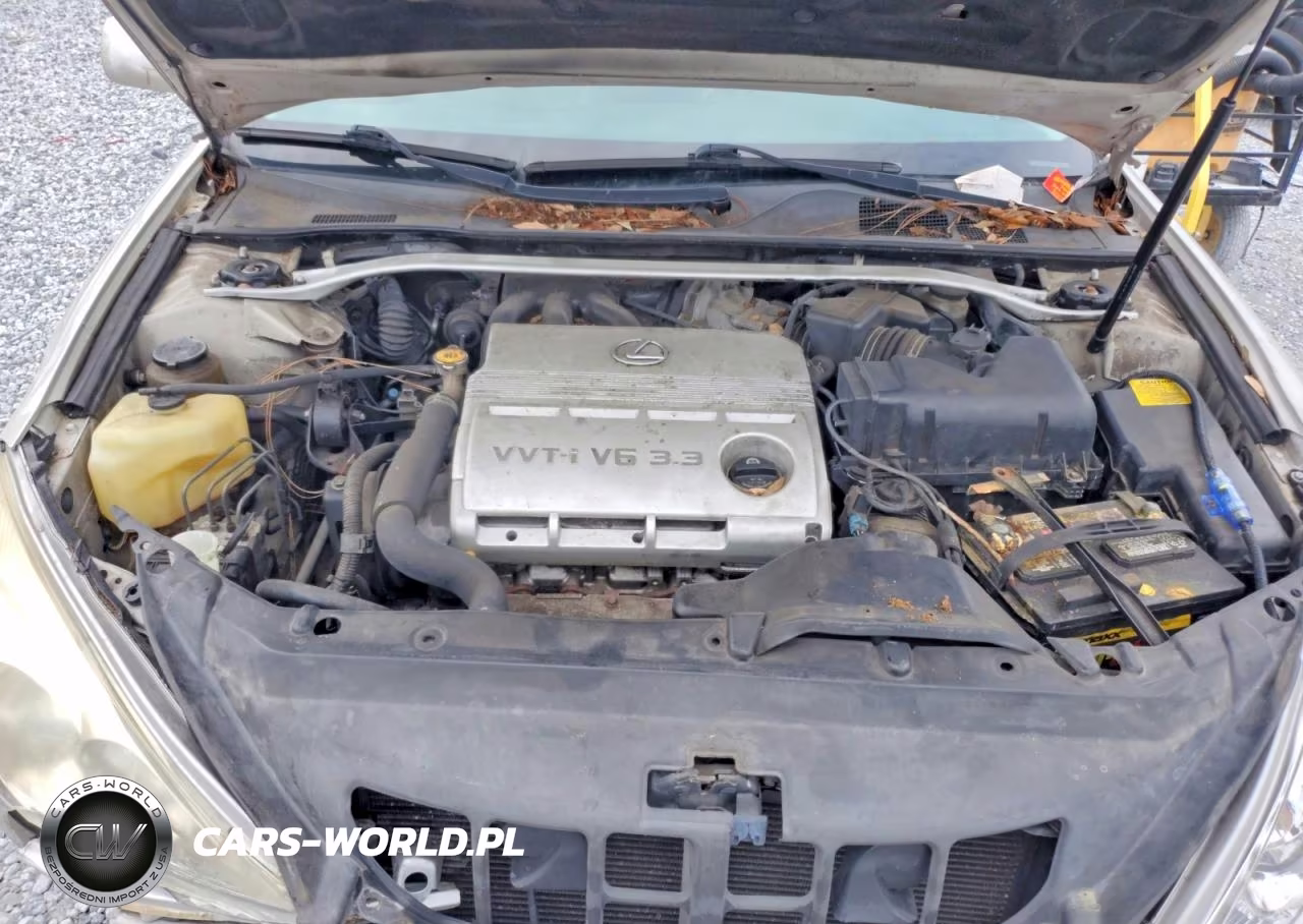 2004 Lexus Es 330 VIN:JTHBA30G240021781 - 11