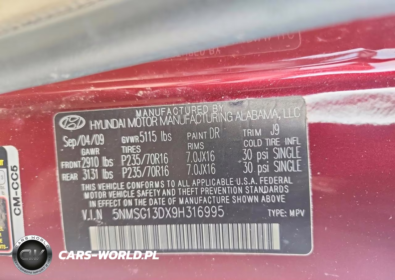 2009 Hyundai Santa Fe Gls VIN:5NMSG13DX9H316995 - 13
