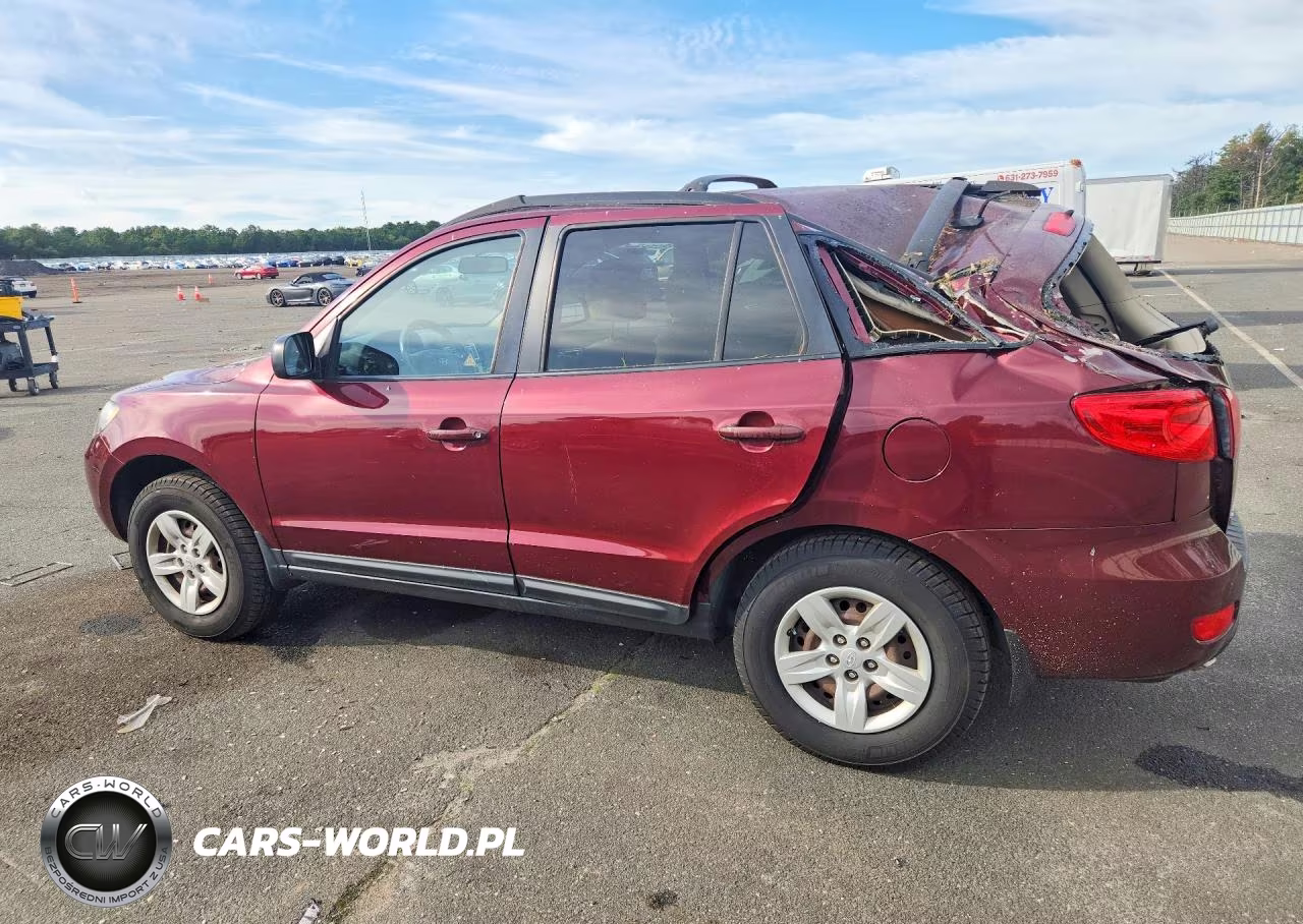 2009 Hyundai Santa Fe Gls VIN:5NMSG13DX9H316995 - 2
