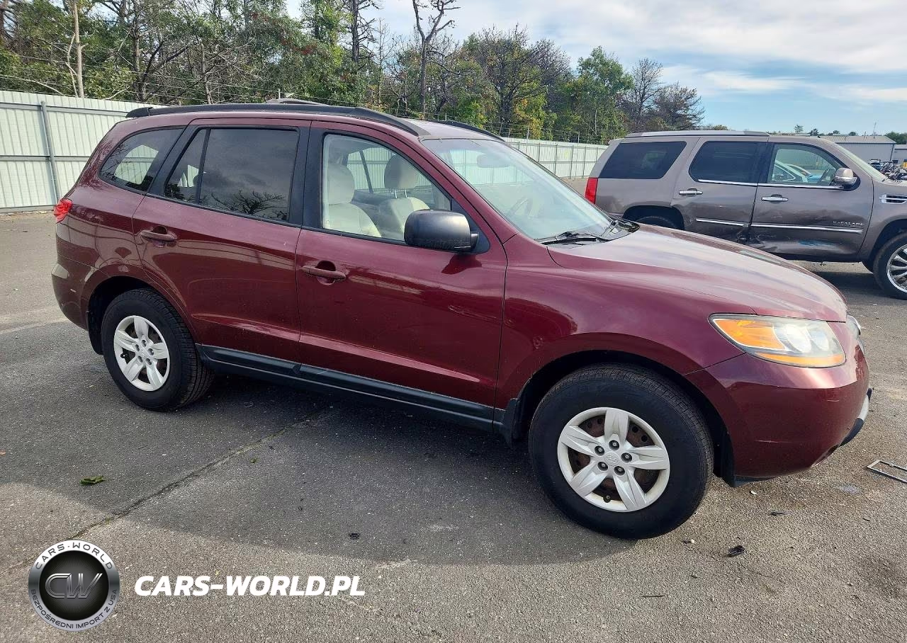 2009 Hyundai Santa Fe Gls VIN:5NMSG13DX9H316995 - 4