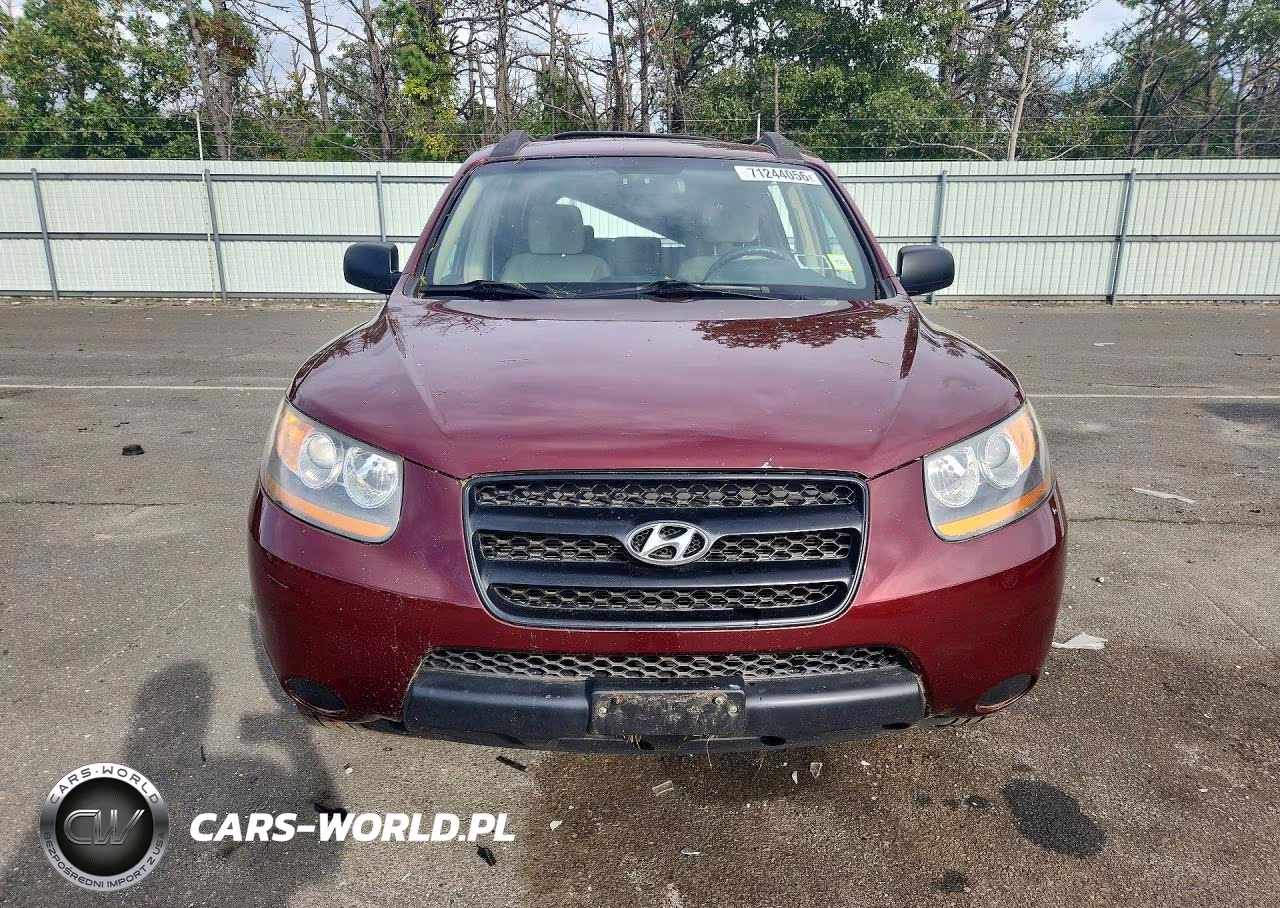 2009 Hyundai Santa Fe Gls VIN:5NMSG13DX9H316995 - 5