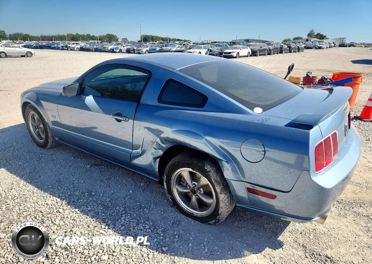 2006 Ford Mustang Gt VIN:1ZVHT82H065131403 - 2