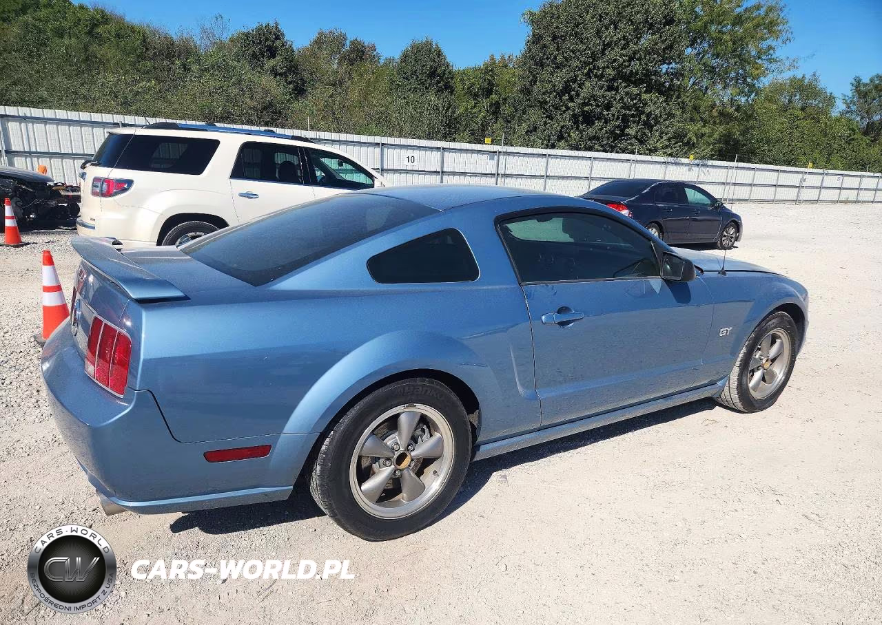 2006 Ford Mustang Gt VIN:1ZVHT82H065131403 - 3