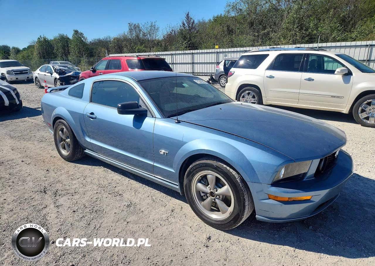 2006 Ford Mustang Gt VIN:1ZVHT82H065131403 - 4