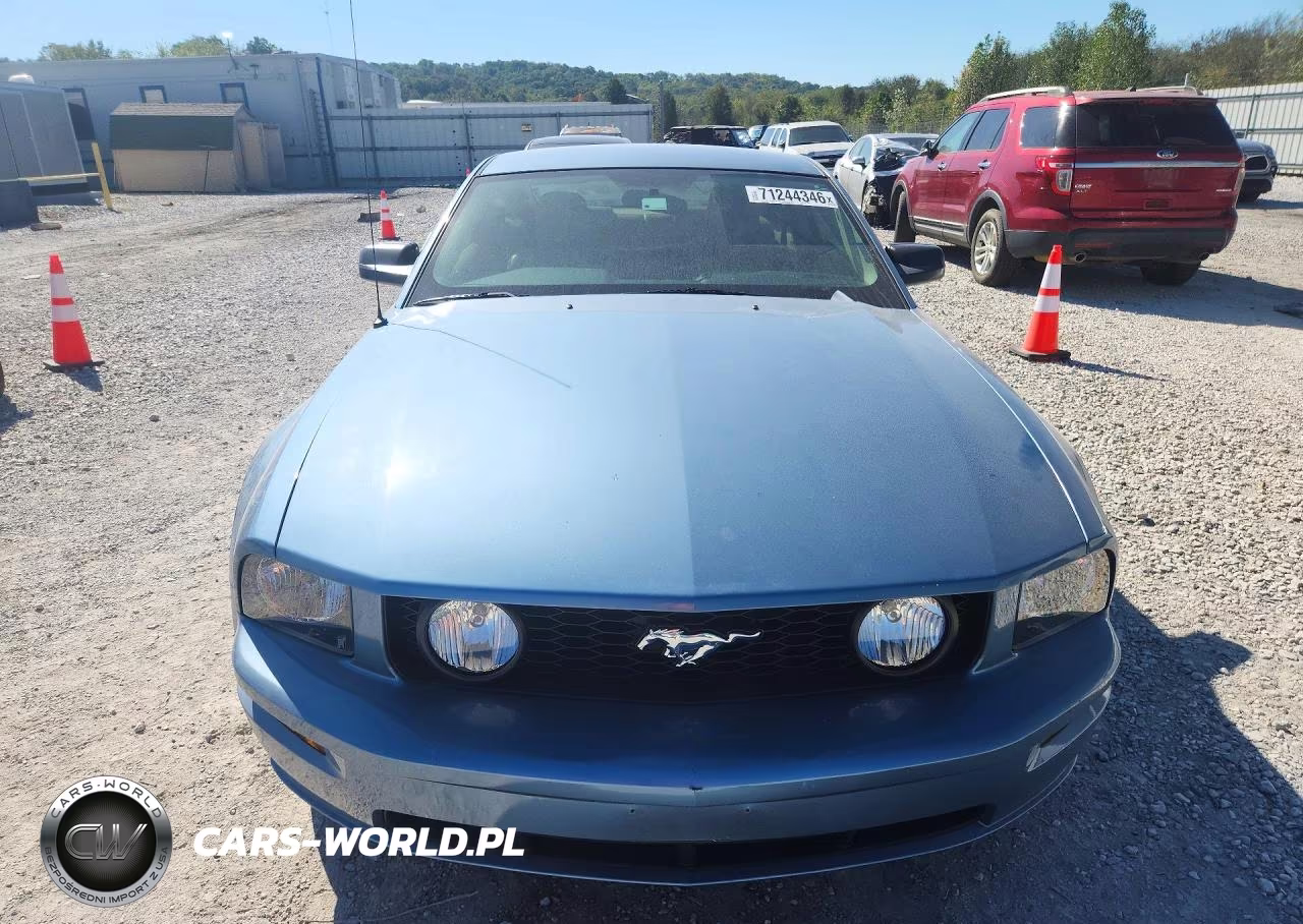 2006 Ford Mustang Gt VIN:1ZVHT82H065131403 - 5
