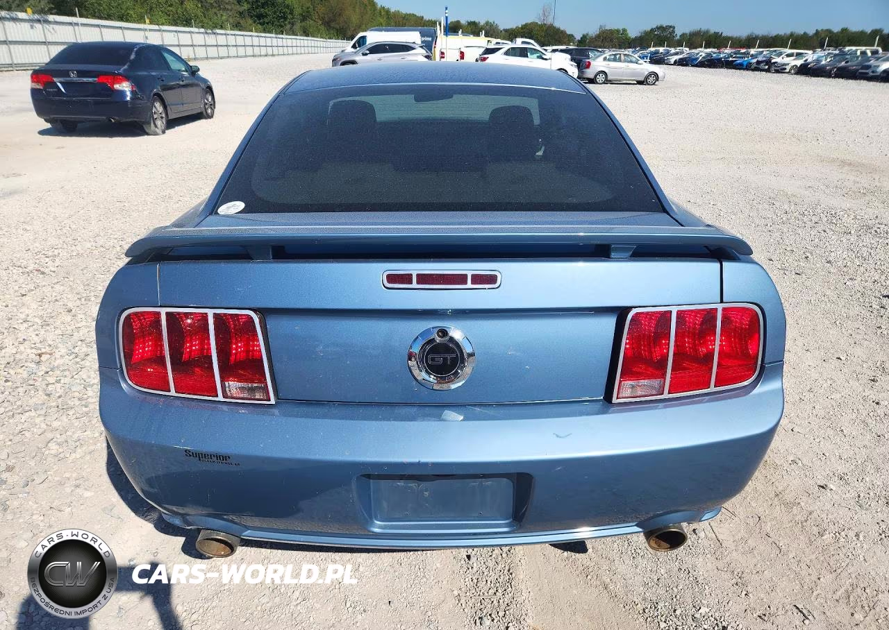 2006 Ford Mustang Gt VIN:1ZVHT82H065131403 - 6