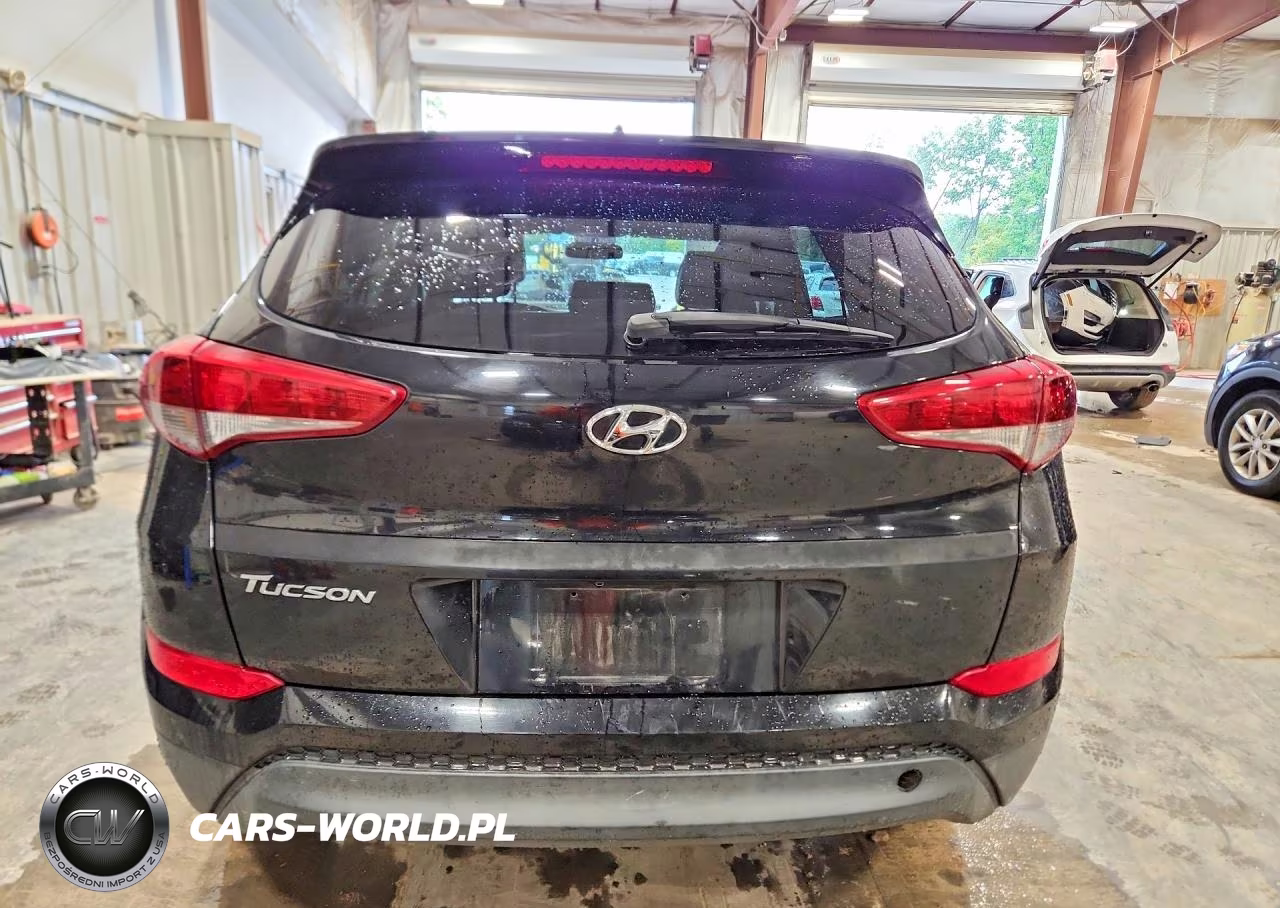 2016 Hyundai Tucson Se VIN:KM8J33A48GU161483 - 6