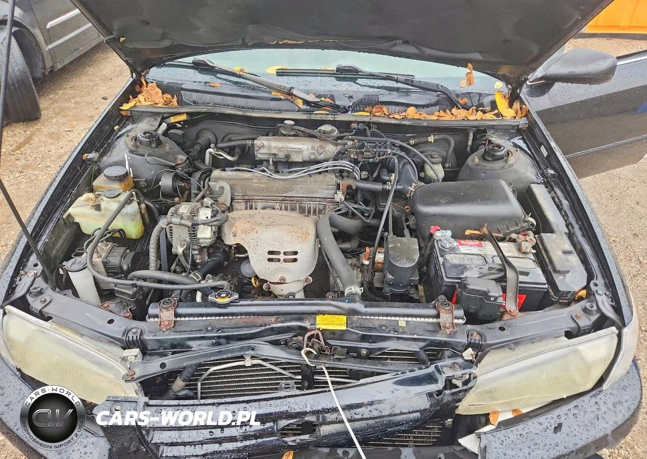 1999 Toyota Camry Le VIN:4T1BG22KXXU596747 - 11