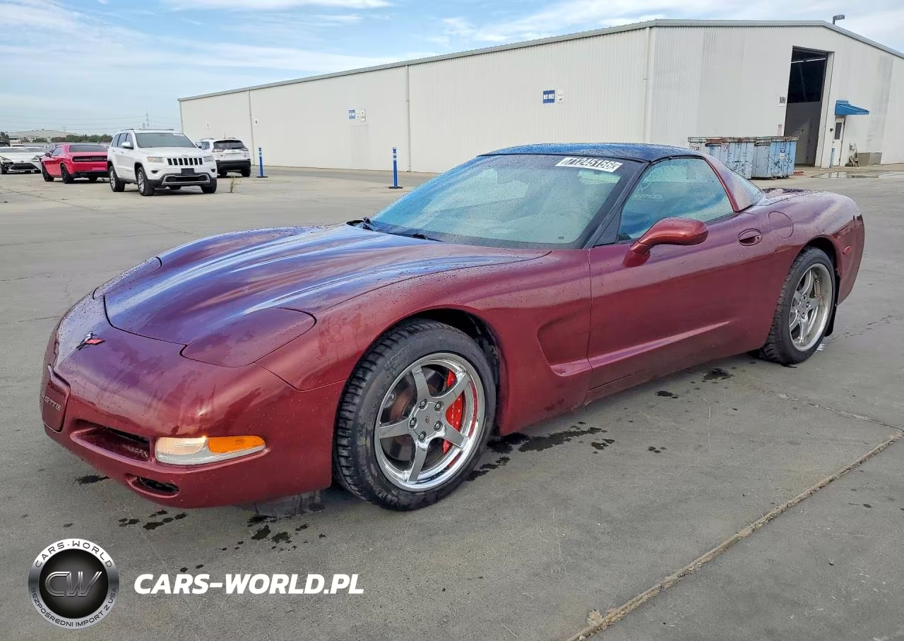 1999 Chevrolet Corvette VIN:1G1YY22G1X5111339 - 1
