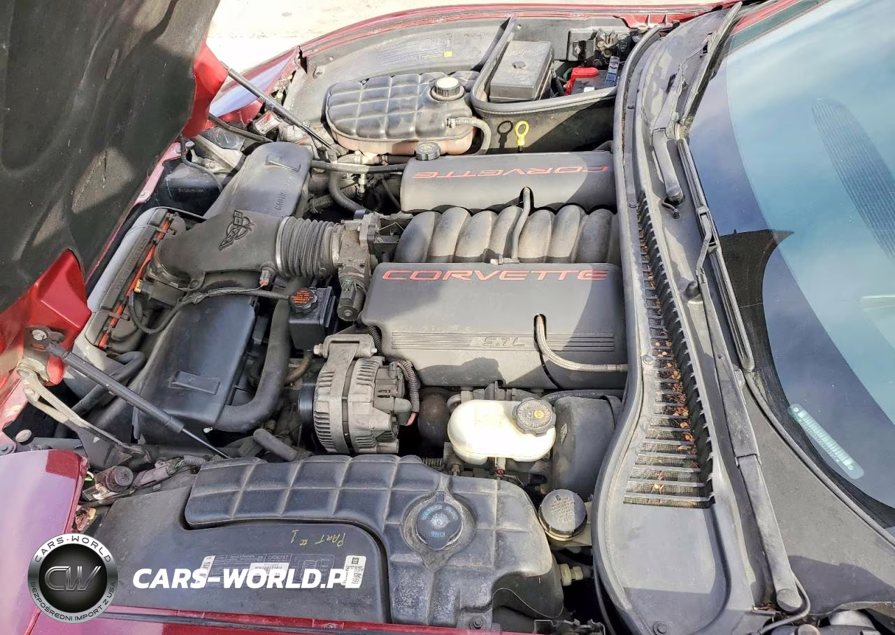 1999 Chevrolet Corvette VIN:1G1YY22G1X5111339 - 11
