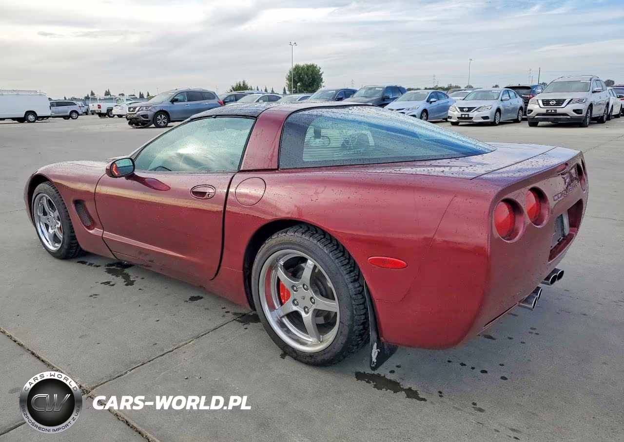 1999 Chevrolet Corvette VIN:1G1YY22G1X5111339 - 2