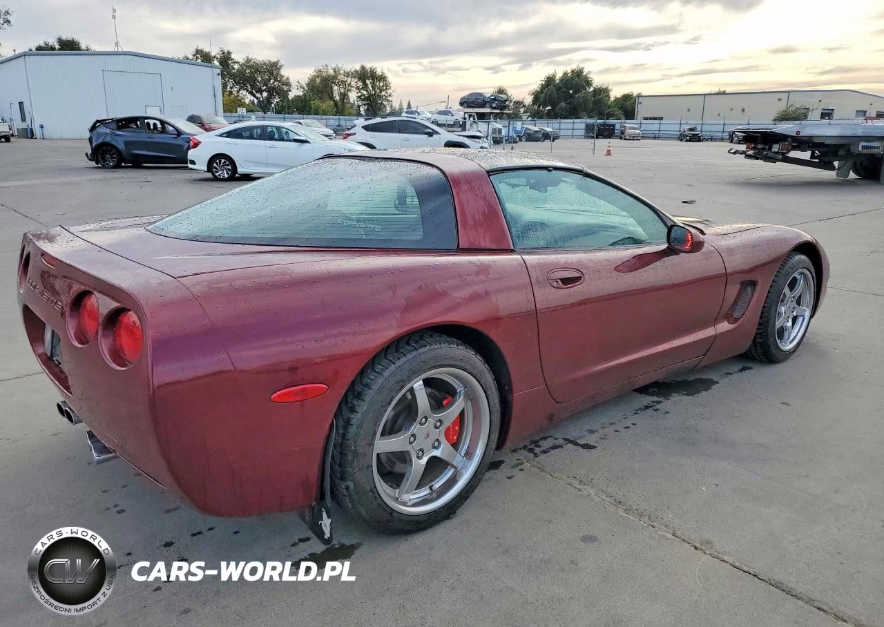 1999 Chevrolet Corvette VIN:1G1YY22G1X5111339 - 3