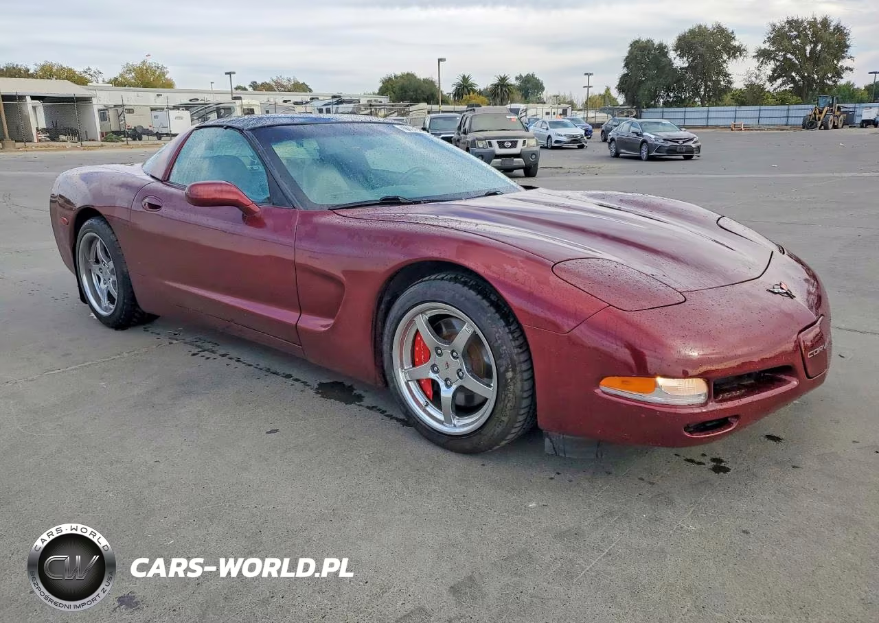 1999 Chevrolet Corvette VIN:1G1YY22G1X5111339 - 4