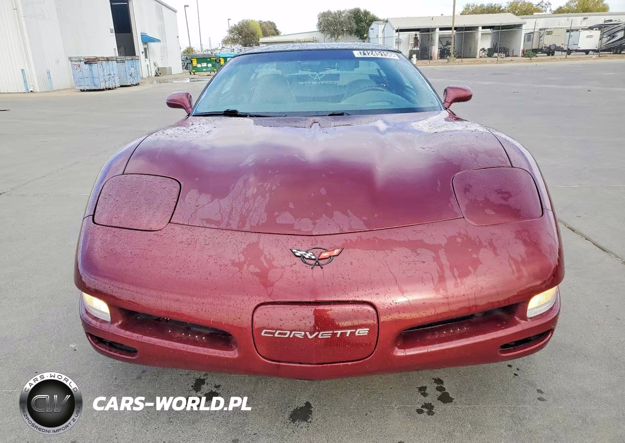 1999 Chevrolet Corvette VIN:1G1YY22G1X5111339 - 5