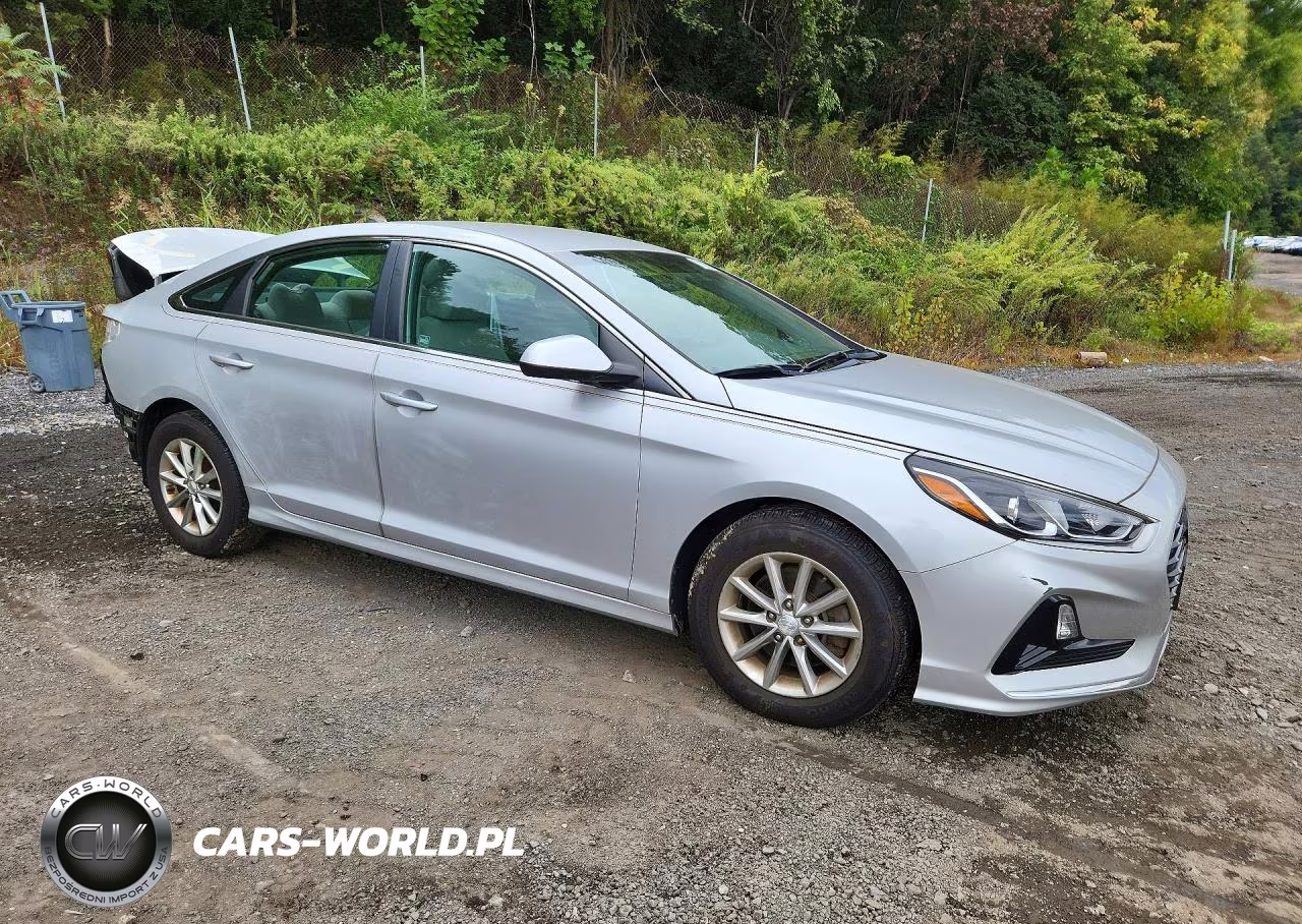 2019 Hyundai Sonata Se VIN:5NPE24AF1KH744058 - 4