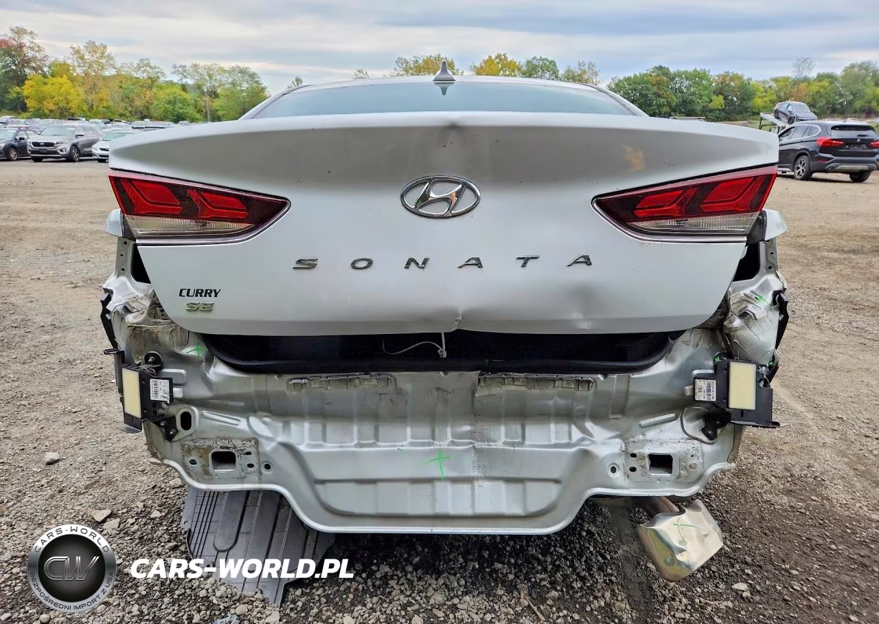 2019 Hyundai Sonata Se VIN:5NPE24AF1KH744058 - 6