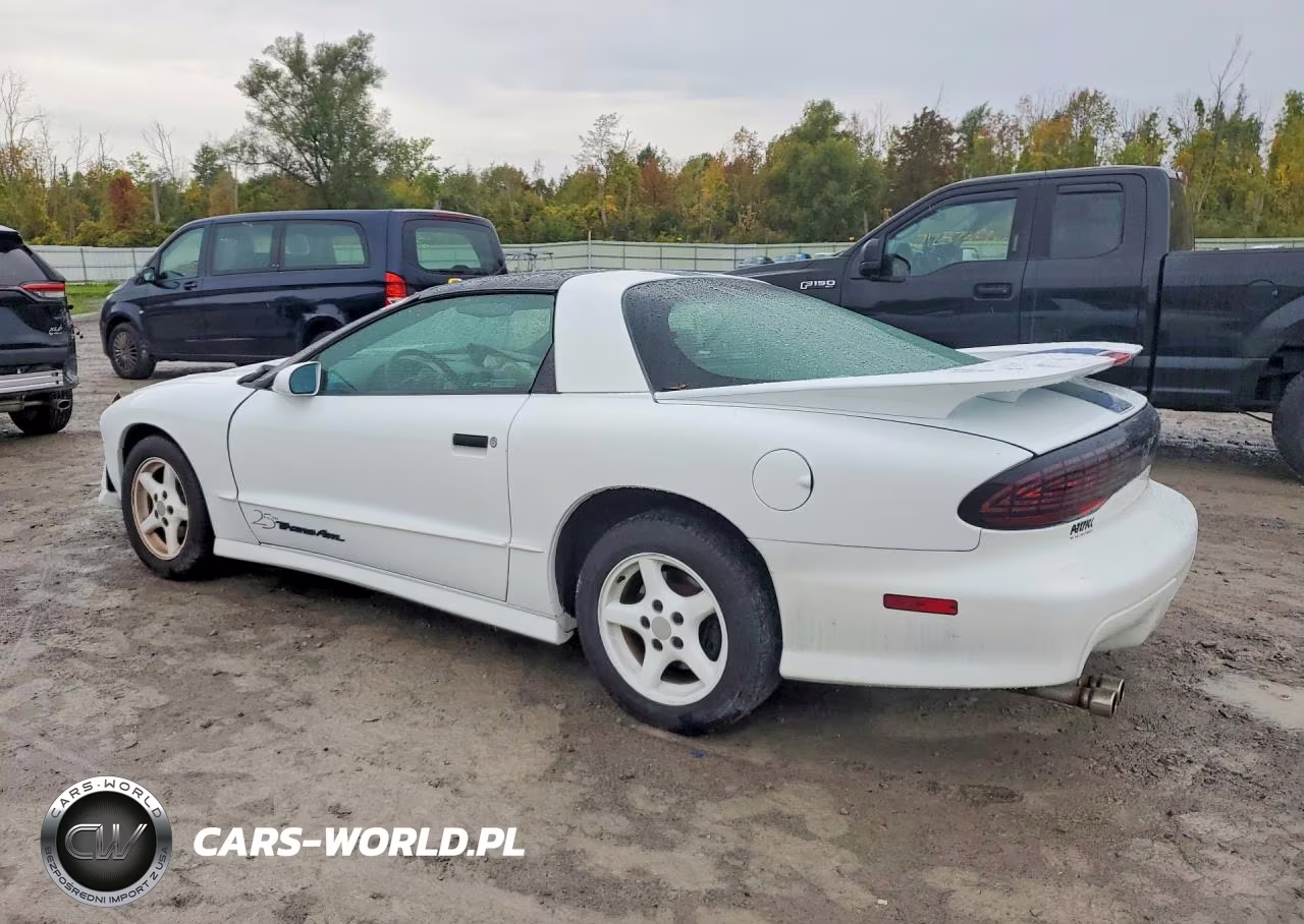 1994 Pontiac Firebird Formula VIN:2G2FV22P9R2248913 - 2